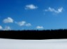 Kasutaja avatar