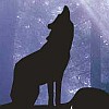 Kasutaja avatar