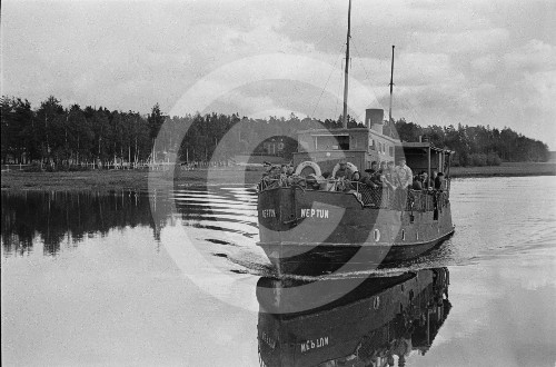 neptun.jpg