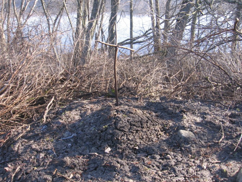 Tundmatu sõdur.JPG