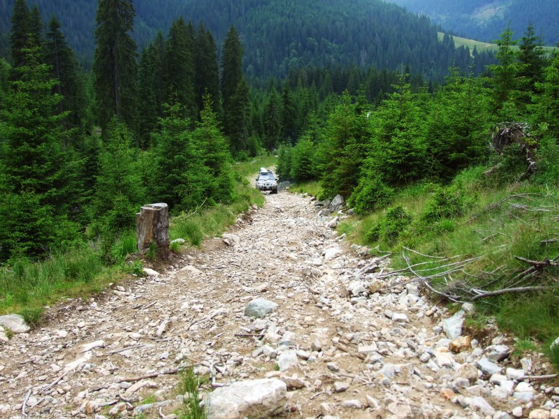 DSCF0137.JPG