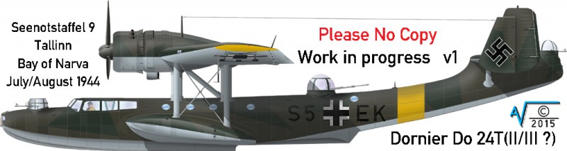 Dornier Do 24T2 55+EK SNGr 9 PORT v2 MilNet (1050px).jpg