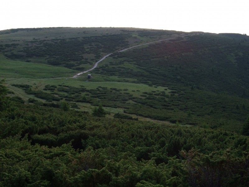 DSCF0159.JPG