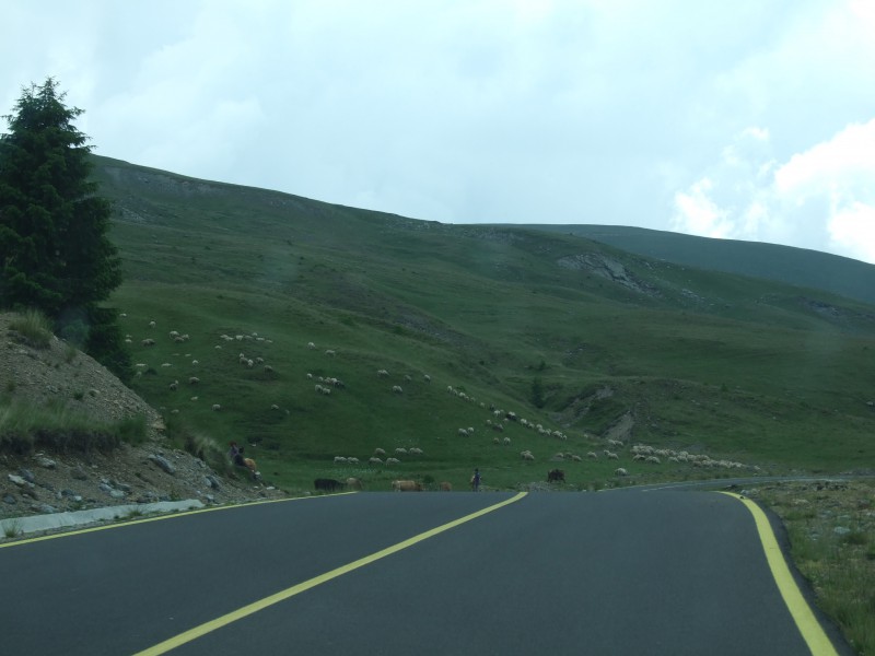 DSCF0209.JPG