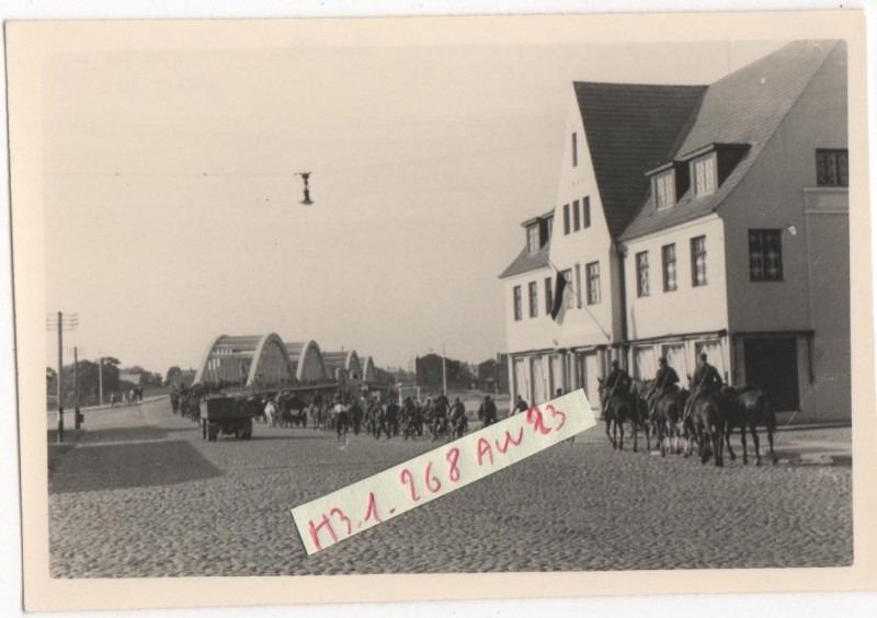 291 ID 7.jpg