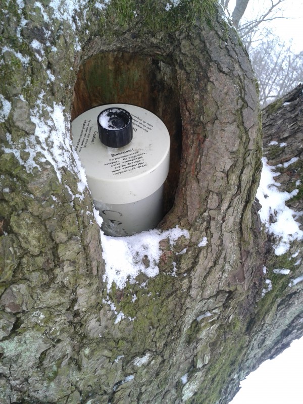 2013-03-03 13.23.16.jpg