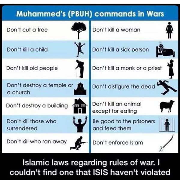 Muhamad laws.jpg
