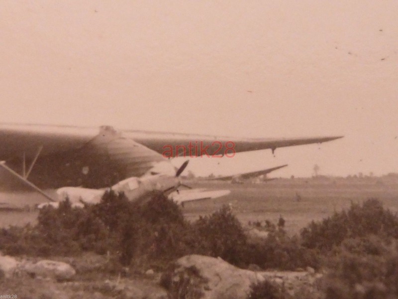 gi3.JPG