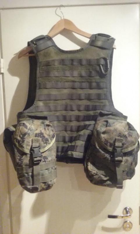 ve1.jpg