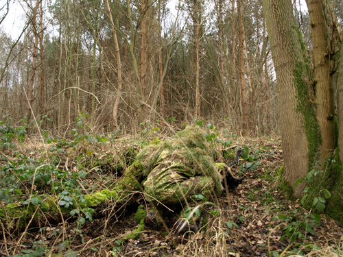 PenCott_GreenZone.jpg