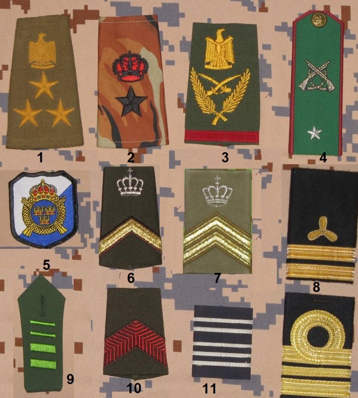 Picture1.jpg