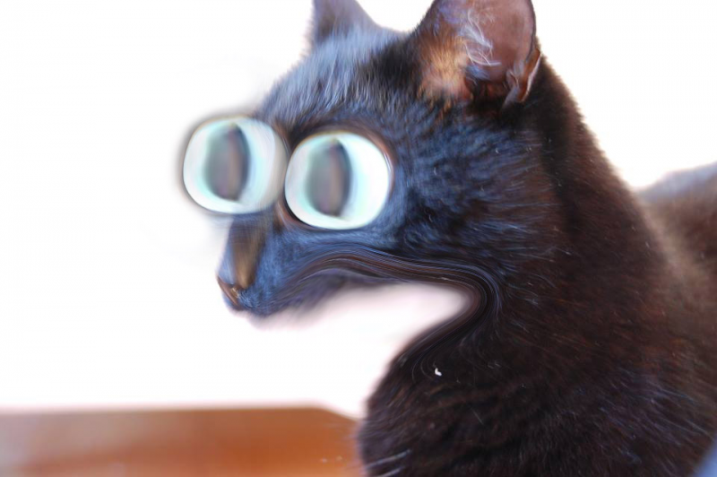 svejk_fauna1.png