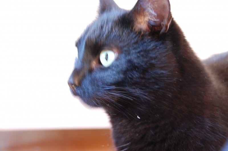 DSC_0598.JPG