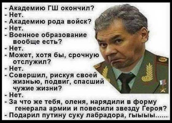 Shoigu.jpg