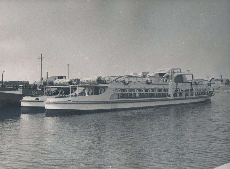 kokre65.jpg