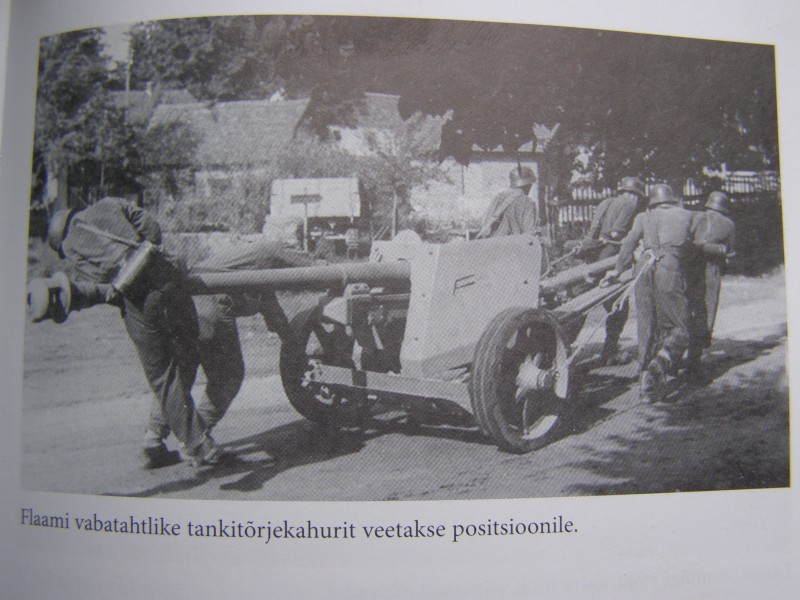 P1010019.JPG