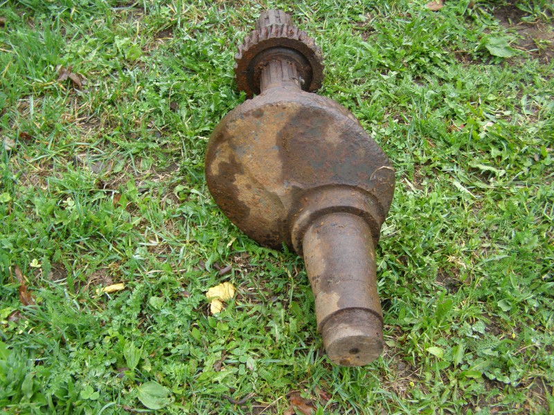 P1010036.JPG