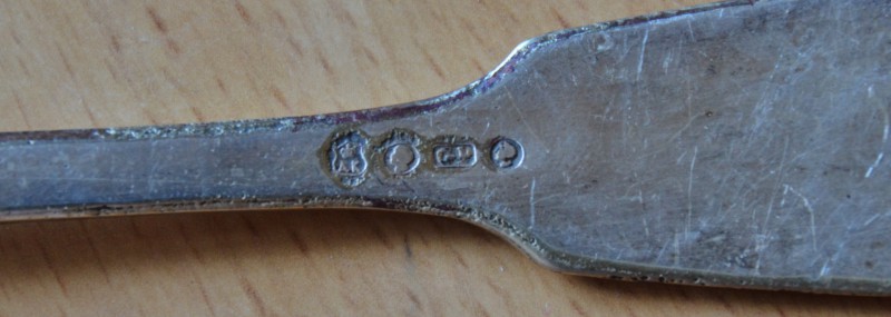 DSC_4216.JPG