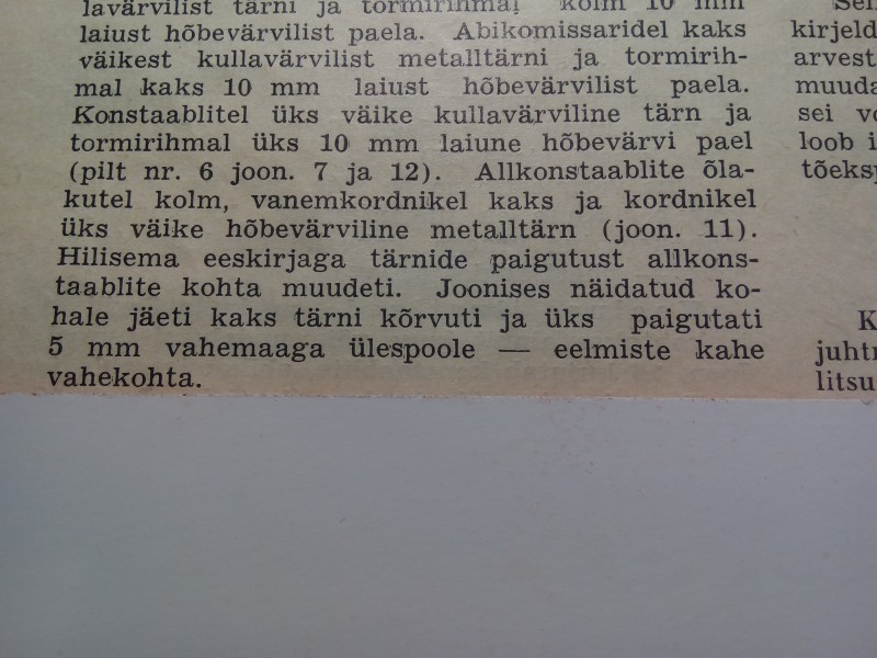 polla 4.jpg