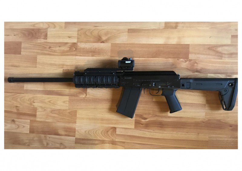 Saiga12.jpg
