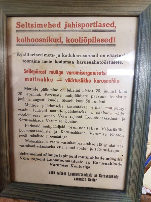 bronemuttid.jpg
