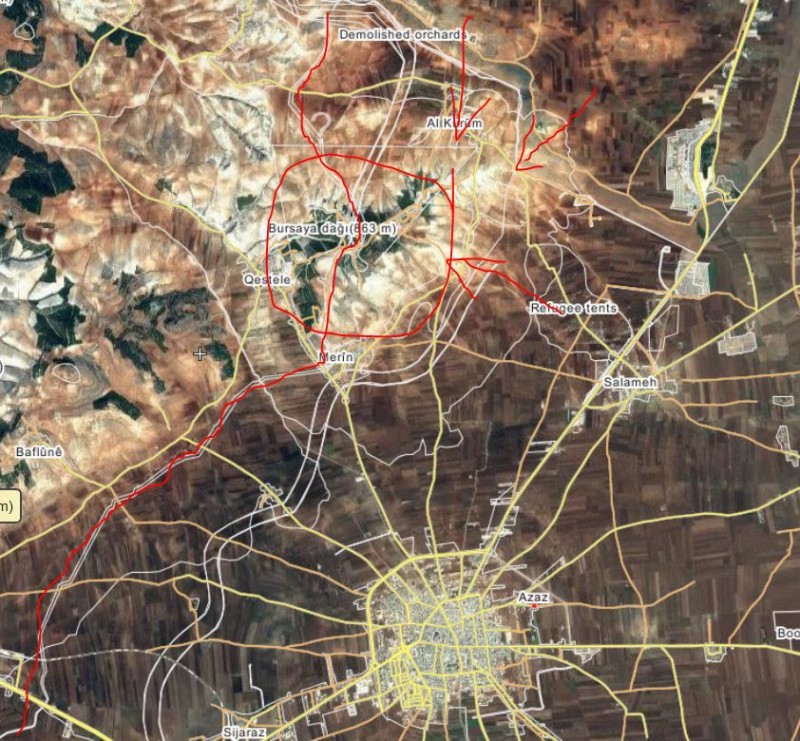 Bursaia1.JPG