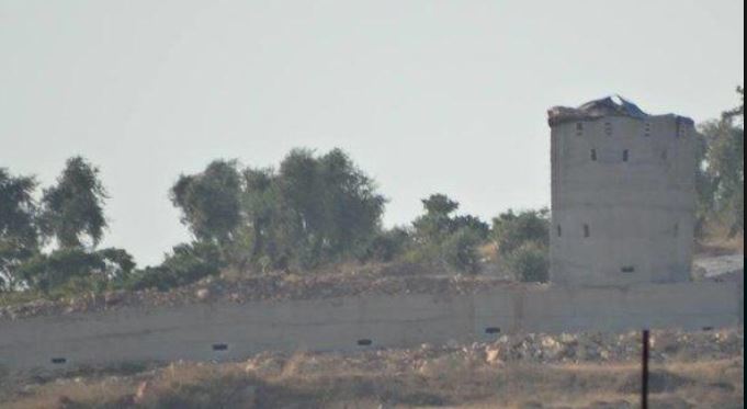 Bursaia3.JPG