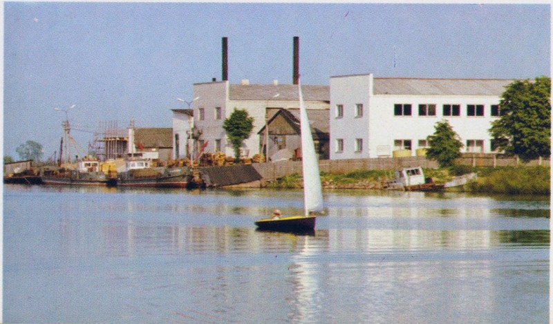 gdov1981.jpg