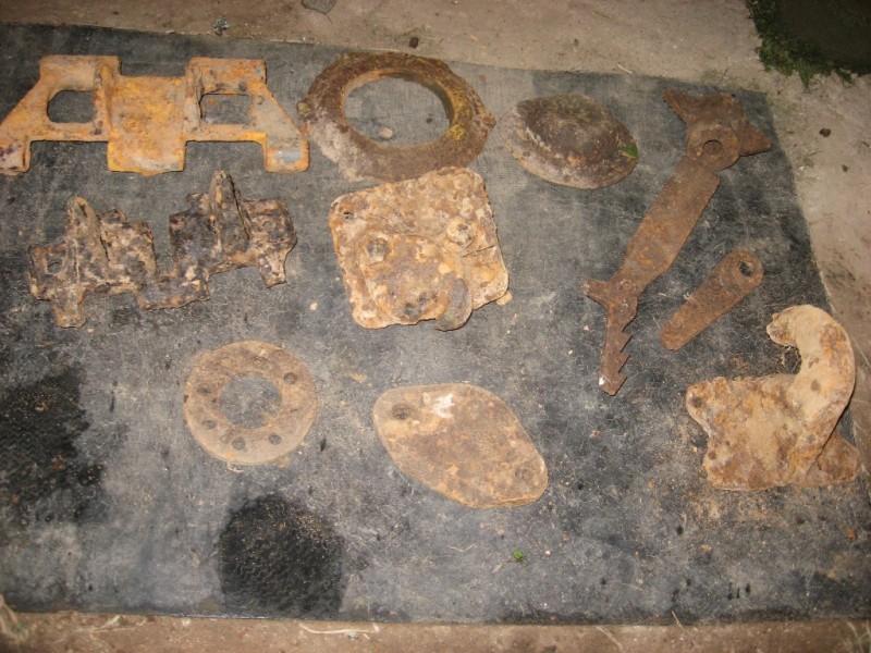 rauda 001.jpg