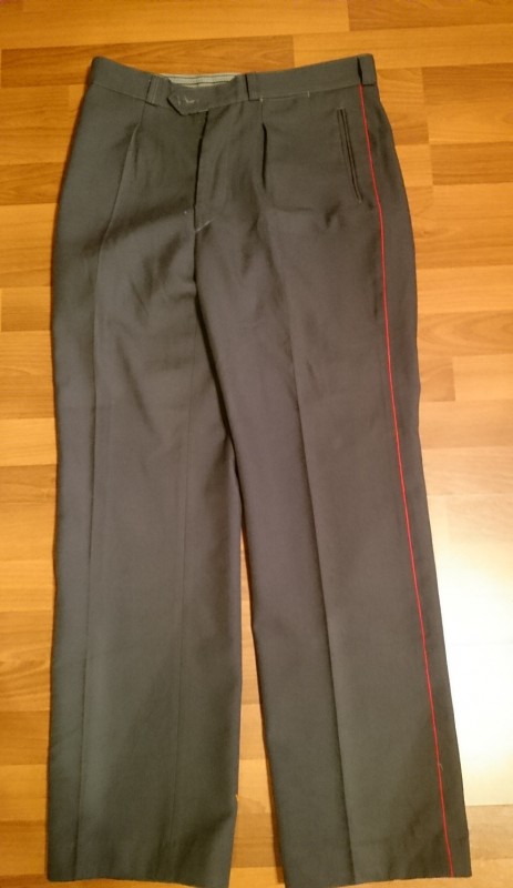 Miilitsa püksid.JPG