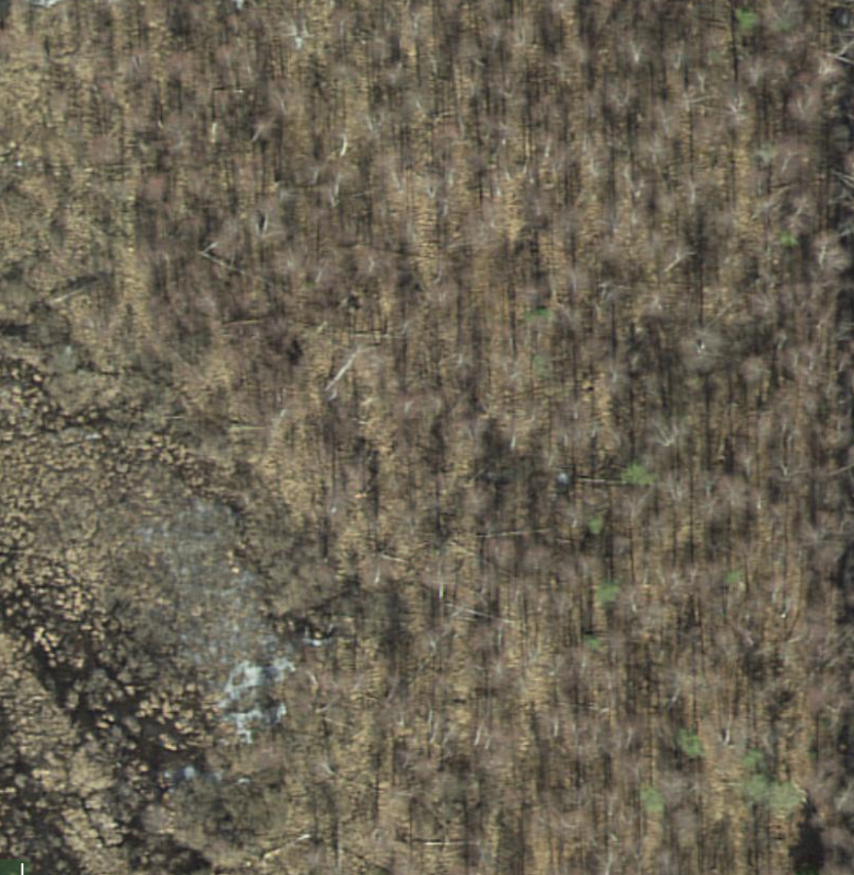 Endla tuulemurd.png