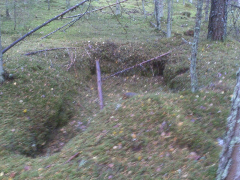 SÜGIS2012 028.JPG