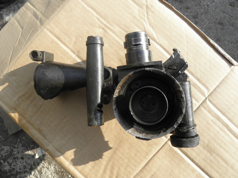 P9080305 (Копировать).JPG