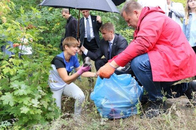 kerstivihmavari.jpg