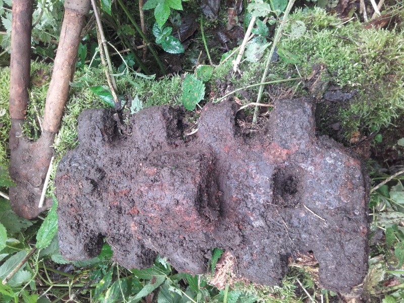 20180923_104017.jpg