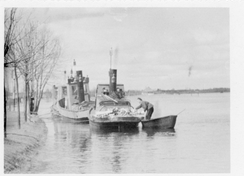 1951b.jpg