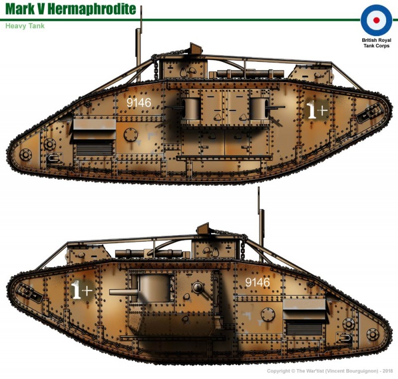 p1.jpg