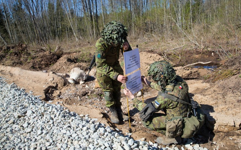 EDF personnel from the Pioneers Batallion 2019.jpg