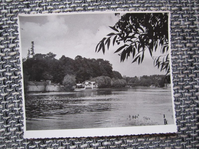 koidula57a.jpg