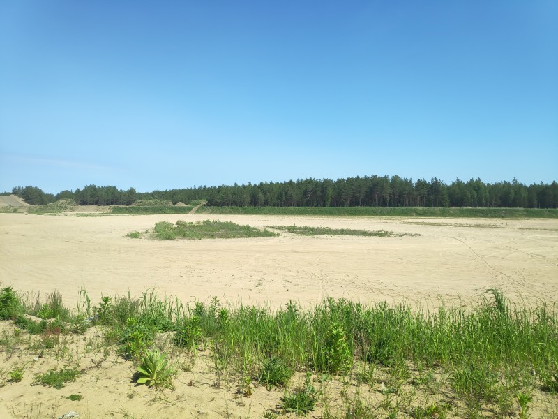 IMG_20190604_112453.jpg