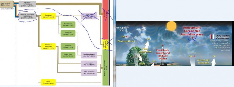 1366Mm3 ehituspuitu ja 4biljonit tonni CO2.JPG