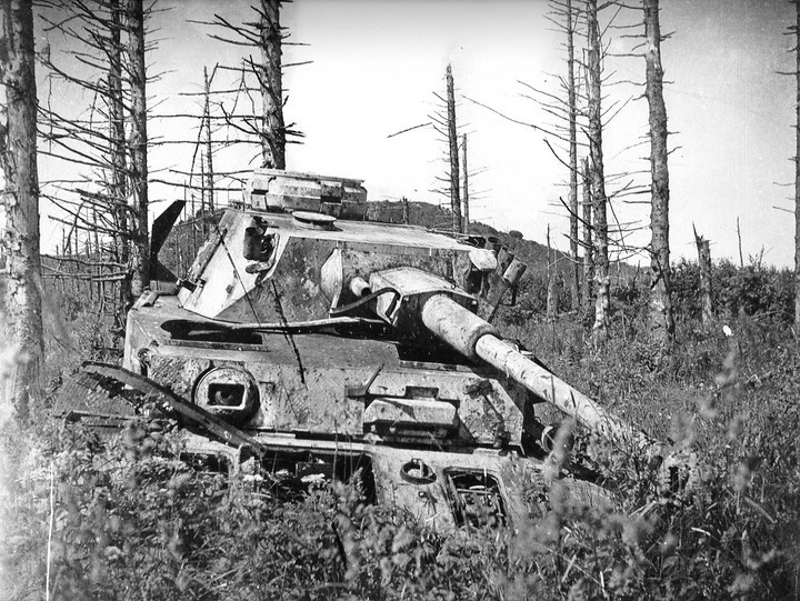Mahajäetud Panzer IV F2, Sinimägede lahinguvälja lähedal