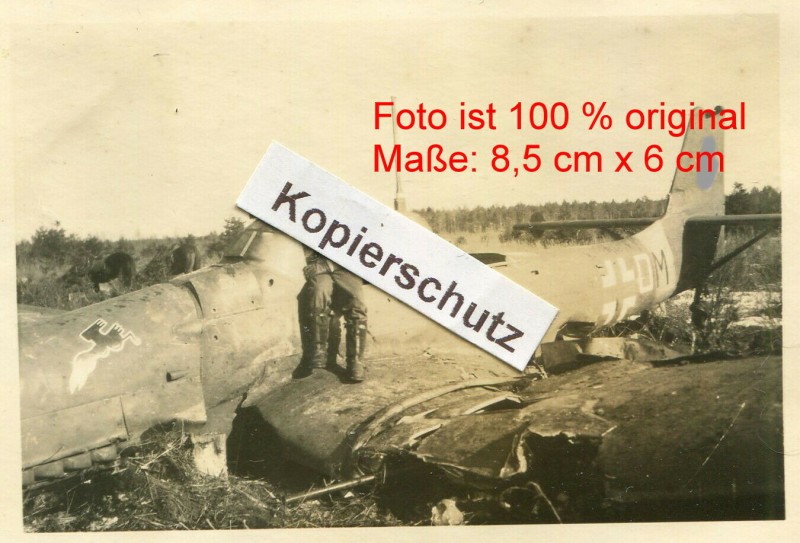 4 SG 3 1.jpg