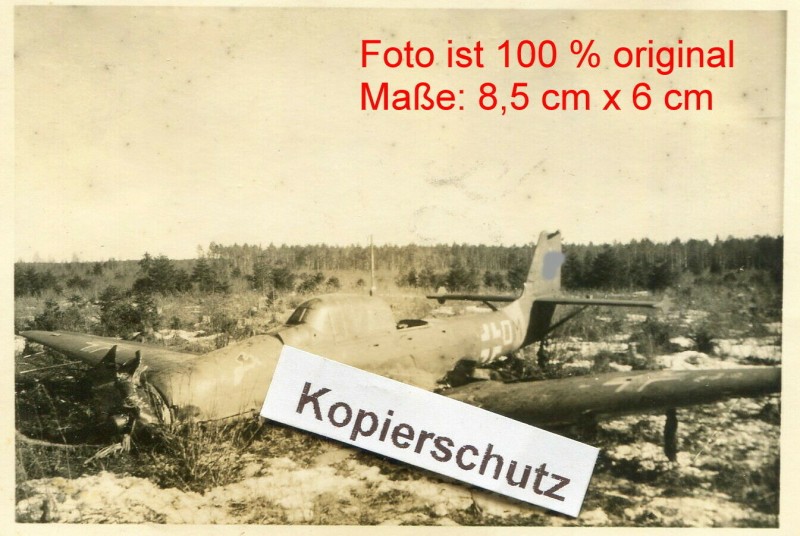 4 SG 3 2.jpg