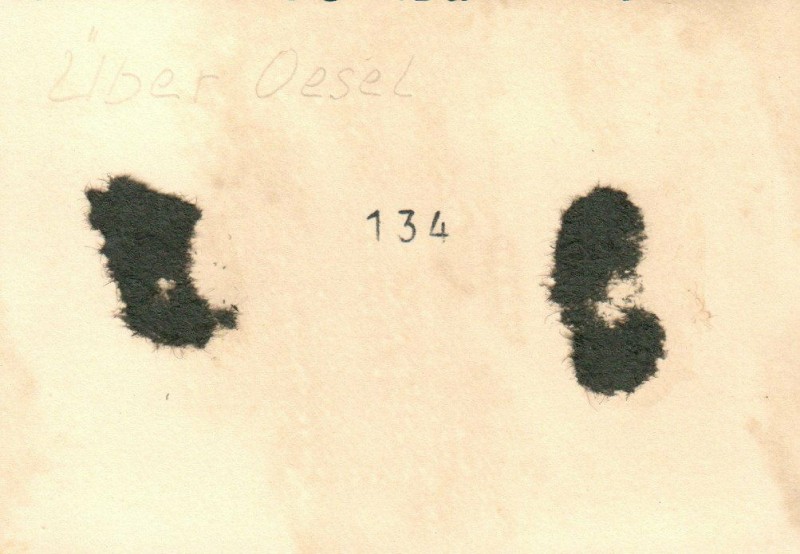 Me 110 2.jpg