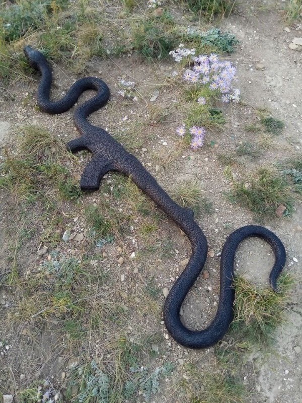 madu.jpeg