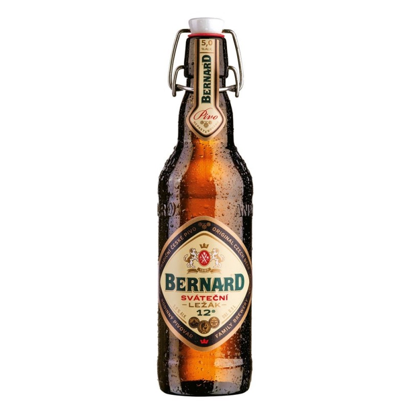 bernard-svatecni-lezak_1.jpg