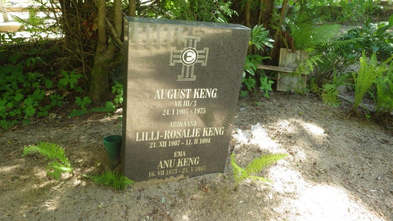 RIMG9331 (Medium).JPG