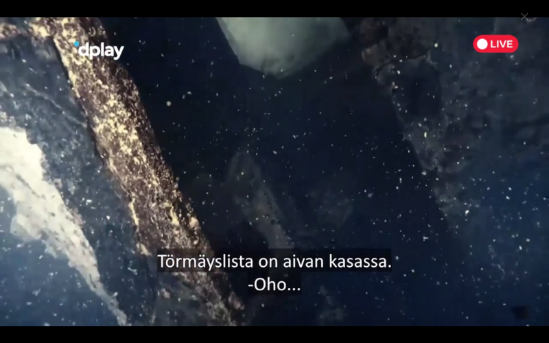 Estonia2020D.png