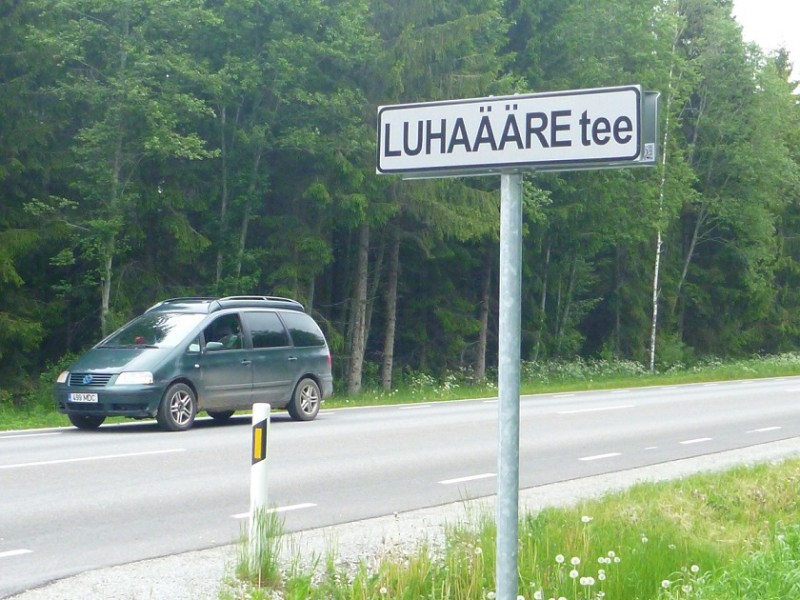 P1110485.jpg